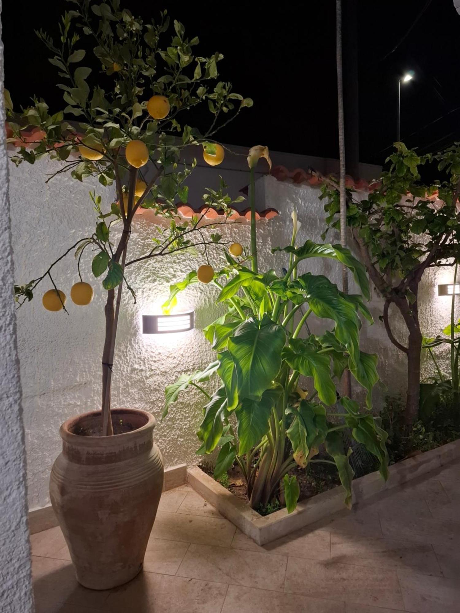 Villa Toluammare Sicily Santa Maria Del Focallo Exterior foto